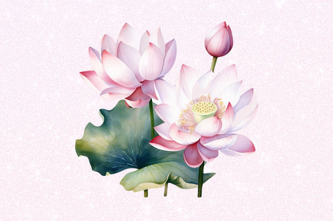 Lotus Flowers Watercolor Sublimation Sublimation Regulrcrative 