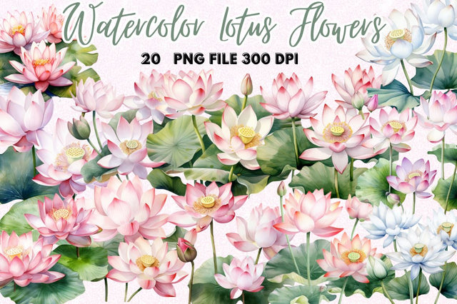 Lotus Flowers Watercolor Sublimation Sublimation Regulrcrative 