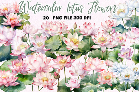Lotus Flowers Watercolor Sublimation Sublimation Regulrcrative 