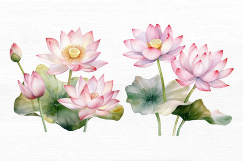 Lotus Flowers Watercolor Sublimation Sublimation Regulrcrative 