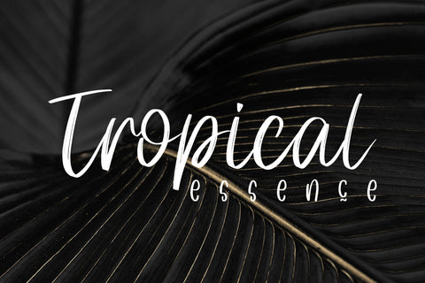 Louis Mate Font dapiyupi store 