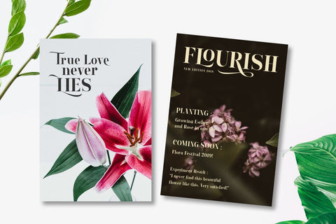 Lourena Font Arterfak Project 