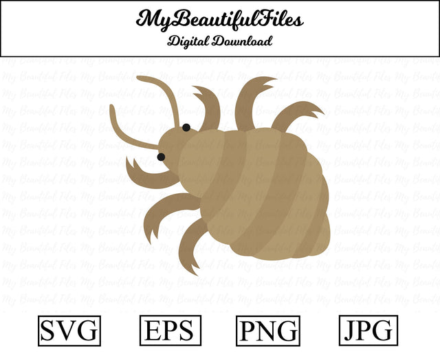 Louse - insect SVG MyBeautifulFiles 