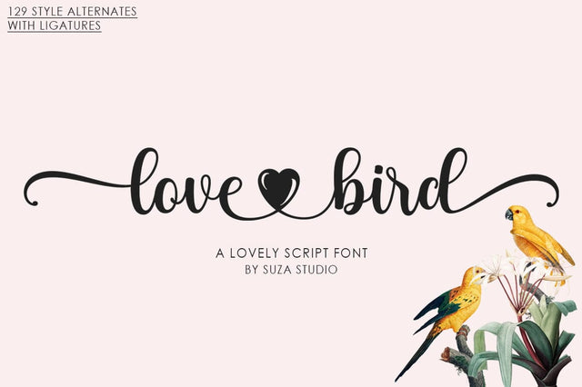 Love Bird Font Suza Studio 