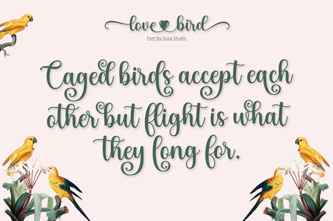 Love Bird Font Suza Studio 