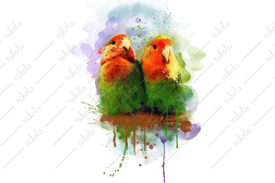 Lovebirds, Parrot Watercolor, Sublimation, Clipart, PNG, JPG Sublimation nikola 