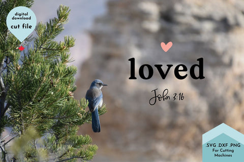 Loved John 3:16 Christian SVG Cut File SVG Lettershapes 