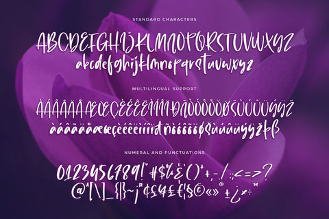 Lovely Purple Font Abo Daniel Studio 