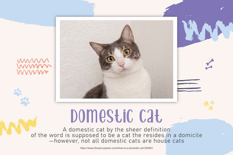 Lovely Winter Font Madatype Studio 