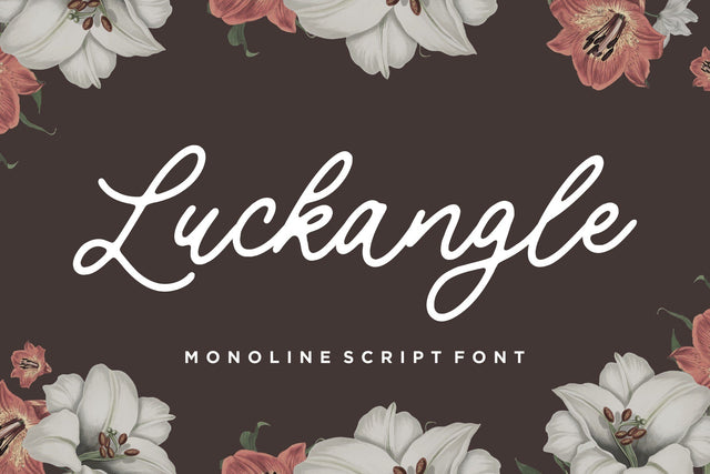 Luckangle Monoline Script Font Font Balpirick 