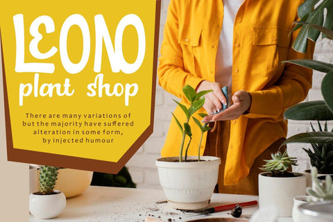 Lucky Shirt - Quirky Ligature Font Font PutraCetol Studio 