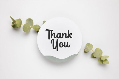 Luckyfield Font Allouse.Studio 