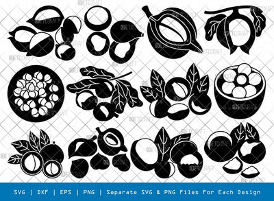 Macadamia Nuts Silhouette Svg Cricut Cut Files Png Bundle, SB01003 SVG ETC Craft 