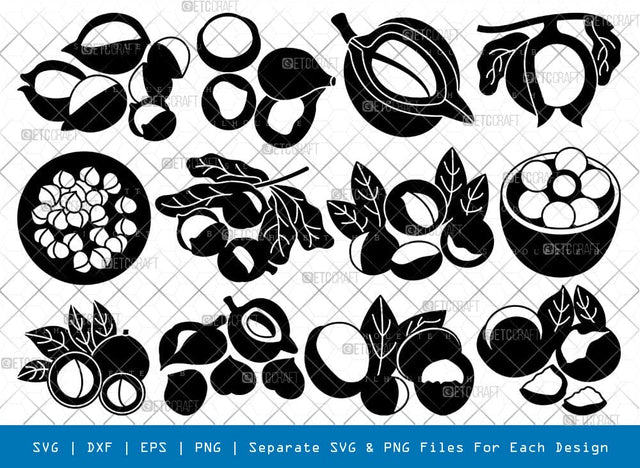 Macadamia Nuts Silhouette Svg Cricut Cut Files Png Bundle, SB01003 SVG ETC Craft 
