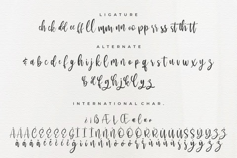 Mackyloo Modern Script Font Creatype Studio 