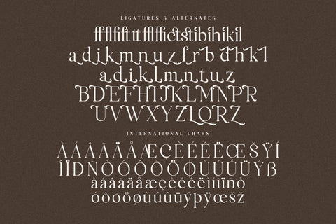 Macterla Typeface Font Storytype Studio 