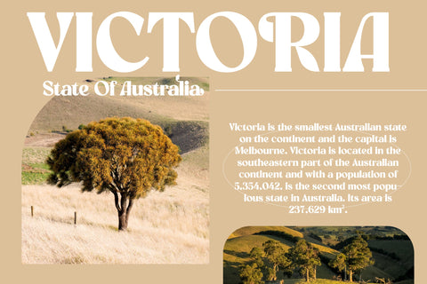 Madela Typeface, Font Storytype Studio 