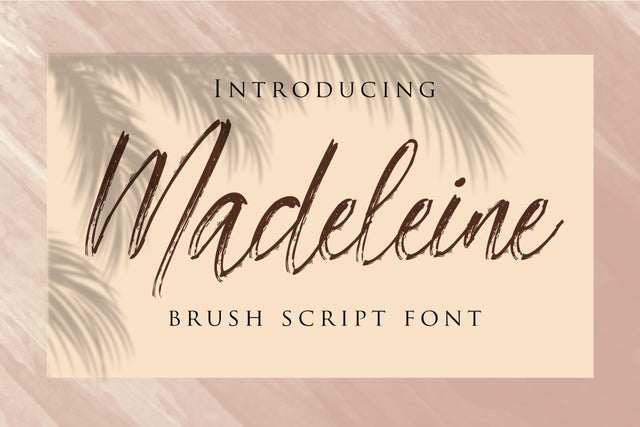 Madeleine - Brush Script Font Font Dm Letter Studio 