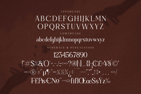 Madeline Typeface Font Storytype Studio 