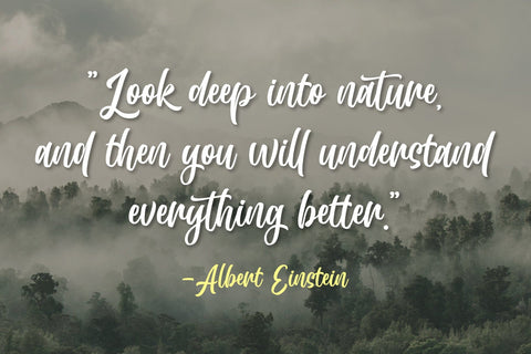 Madistone Font Madatype Studio 