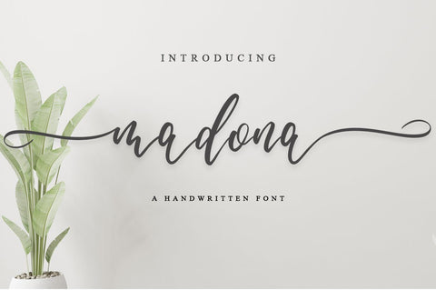 madona script Font Anastasia 