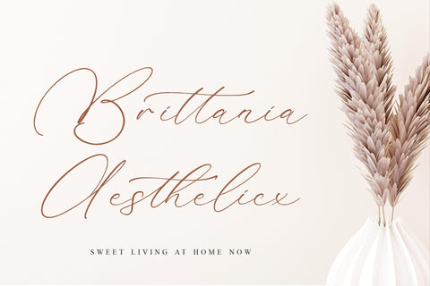 Madyntha Geradine - Chic Calligraphy Font Storytype Studio 