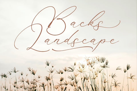 Madyntha Geradine - Chic Calligraphy Font Storytype Studio 