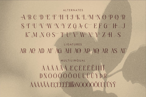 MAGFIRE HYENA Font Storytype Studio 