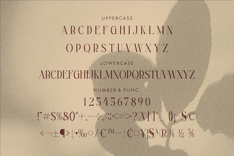 MAGFIRE HYENA Font Storytype Studio 