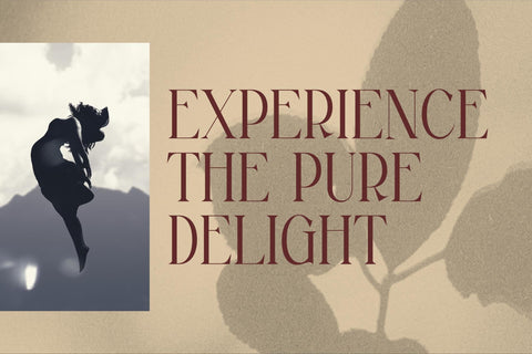 MAGFIRE HYENA Font Storytype Studio 