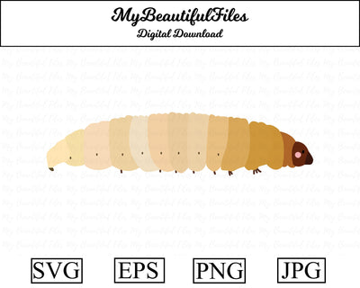 maggot - insect SVG MyBeautifulFiles 