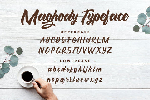 Maghody Script Font Creatype Studio 