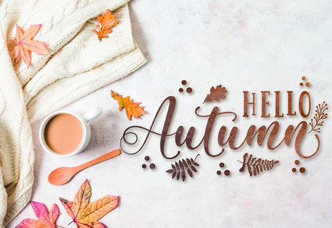 Magic Winter Font Trio & Extras Font studioalmeera 