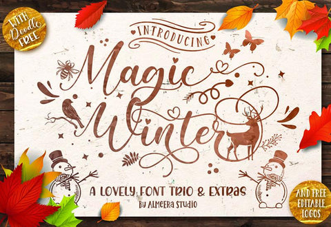 Magic Winter Font Trio & Extras Font studioalmeera 