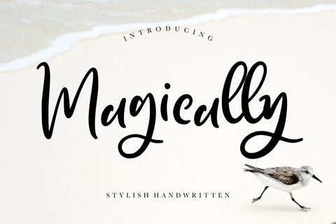 Magically Stylish Handwritten Font Creatype Studio 