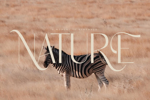 Magirosh Typeface Font Storytype Studio 