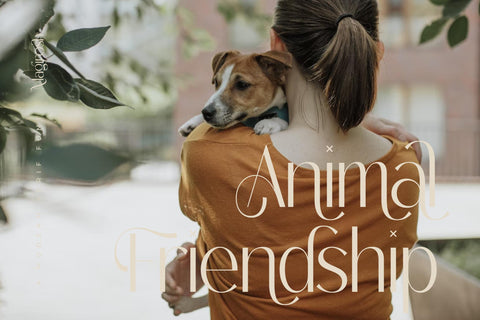 Magirosh Typeface Font Storytype Studio 