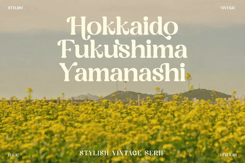 Magisho Typeface Font Storytype Studio 