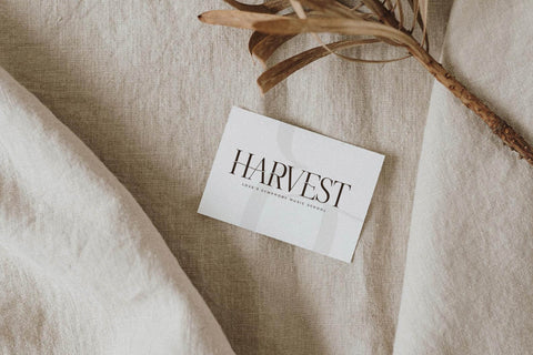 Magison Typeface Font Storytype Studio 