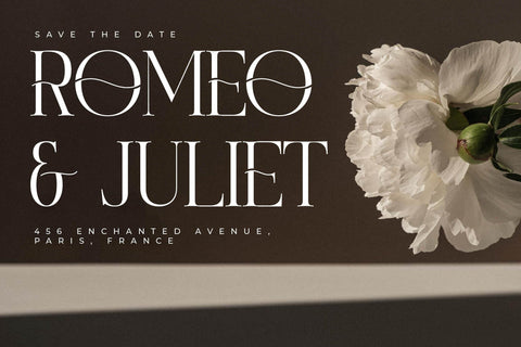 Magison Typeface Font Storytype Studio 