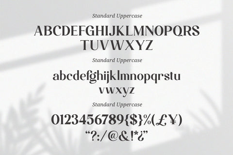 Magistic - Serif Ligature Typeface Font Graphicxell 