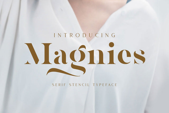 Magnies - Minimal Serif Font Arterfak Project 