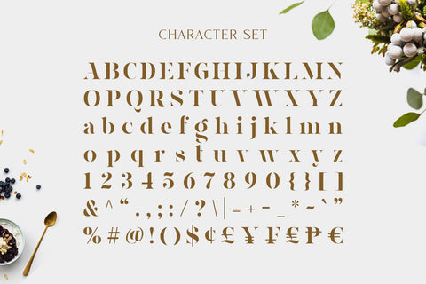 Magnies - Minimal Serif Font Arterfak Project 