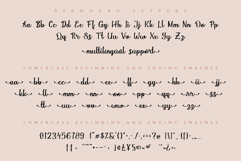 Magnola | Modern Script Font - So Fontsy