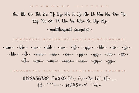 Magnola | Modern Script Font Font Katario Studio 