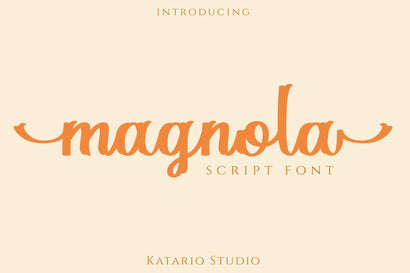 Magnola | Modern Script Font Font Katario Studio 
