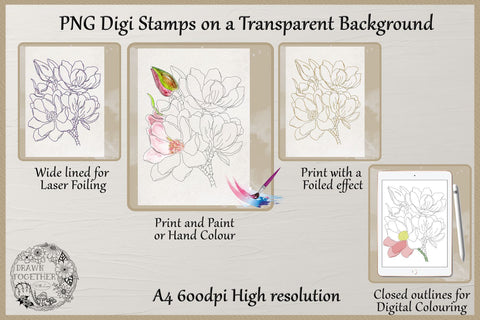 Magnolia 1 - Single line Sketch | Digi Stamp | Illustration | Bundle Sketch DESIGN DrawnTogether with love 