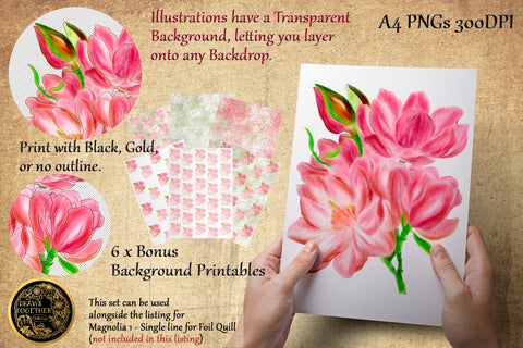 Magnolia 1 - Single line Sketch | Digi Stamp | Illustration | Bundle Sketch DESIGN DrawnTogether with love 