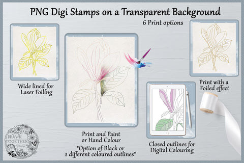 Magnolia 2 - Illustrations|Single line designs|Digi|Card Kit Sketch DESIGN DrawnTogether with love 