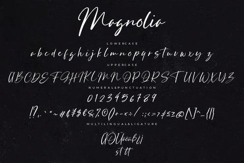 Magnolia Stylish Signature Font Creatype Studio 